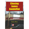 Chasing James Gandolfini: A Memoir