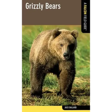 Grizzly Bears