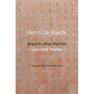 Reports after the Fire: Selected Poems