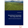 Biomethanol Conversion from Sugar Beet Pulp