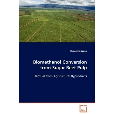 Biomethanol Conversion from Sugar Beet Pulp