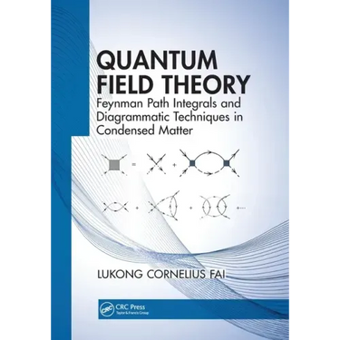 Quantum Field Theory: Feynman Path Integrals and Diagrammatic Techniques in Condensed Matter