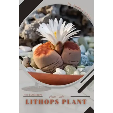Lithops Plant: Plant Guide