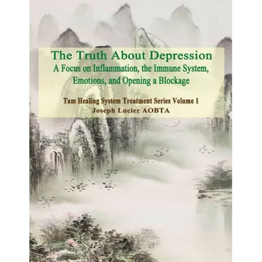 The Truth About Depression: Return to Balance - Focus on Inflammation, the Immune System and Opening a Blockage