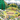 Discovering Nature on the Mountainside