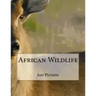 African Wildlife