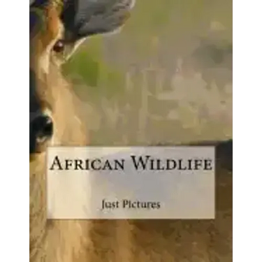 African Wildlife
