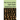 The Verses of the Eight Noble Auspicious Ones
