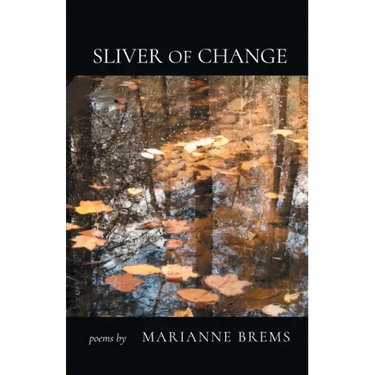 Sliver of Change