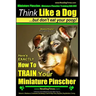 Miniature Pinscher, Miniature Pinscher Training AAA AKC Think Like a Dog But Don't Eat Your Poop! Miniature Pinscher Breed Expert Training: Here's EXA