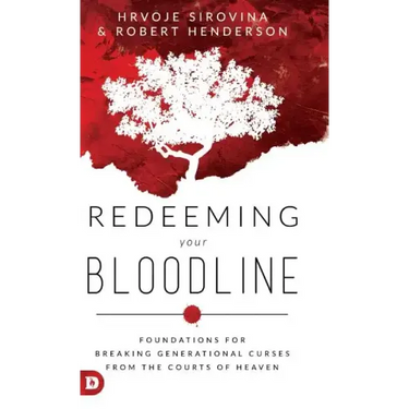 Redeeming Your Bloodline: Foundations For Breaking Generational Curses From the Courts of Heaven