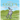 From a Colt's Perspective