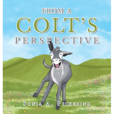 From a Colt's Perspective