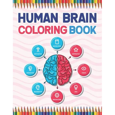 Human Brain Coloring Book: The Human Brain Coloring Book. Human Brain Model Anatomy, Human Brain Diagram, Human Brain Art, Human Brain and Human