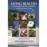 Living Beaches of Georgia and the Carolinas: A Beachcomber's Guide