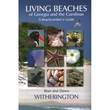 Living Beaches of Georgia and the Carolinas: A Beachcomber's Guide