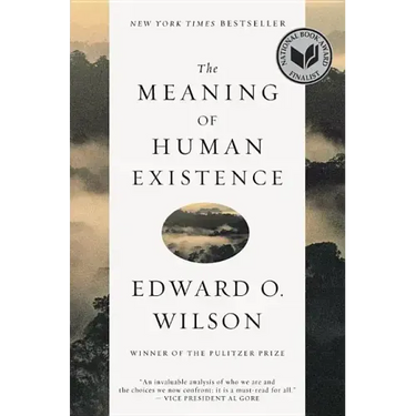 The Meaning of Human Existence