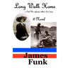 Long Walk Home ...a Civil War infantry soldier's love story