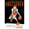 The Crossover Graphic Novel: A Graphic Novel