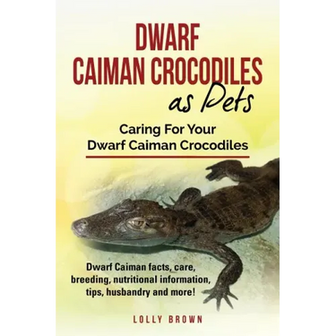 Dwarf Caiman Crocodiles as Pets: Dwarf Caiman facts, care, breeding, nutritional information, tips, husbandry and more! Caring For Your Dwarf Caiman C