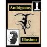 Ambiguous Illusions