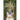 The Secret Garden