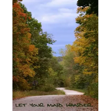 Let Your Mind Wander - A Notebook.