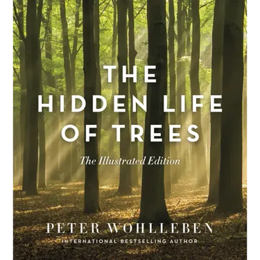 The Hidden Life of Trees: The Illustrated Edition