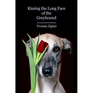Kissing the Long Face of the Greyhound