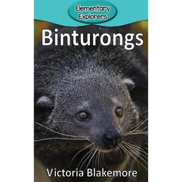 Binturongs