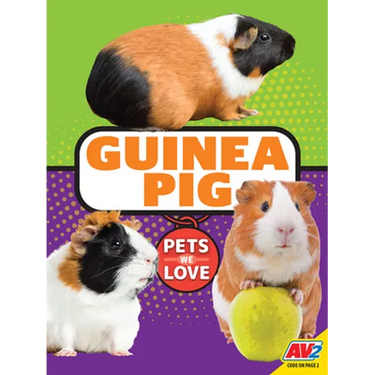 Guinea Pig