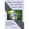 What It Is Like to Die and What Comes After: Conversations with Deceased People Who Describe What Happened After They Died
