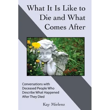 What It Is Like to Die and What Comes After: Conversations with Deceased People Who Describe What Happened After They Died
