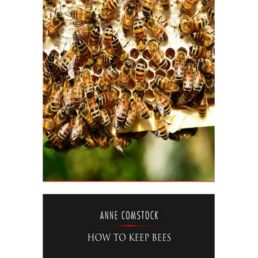 How to Keep Bees