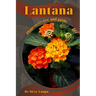 Lantana: Plant overview and guide