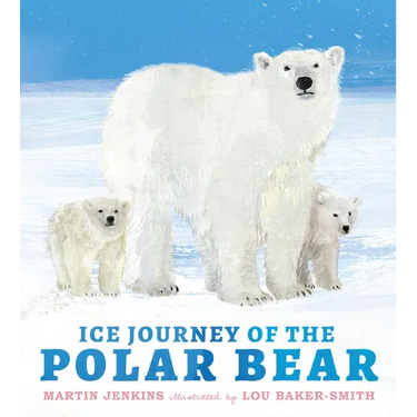 Ice Journey of the Polar Bear