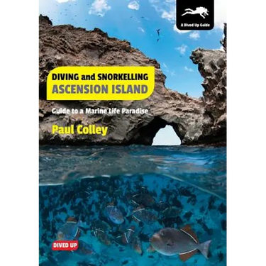 Diving and Snorkelling Ascension Island: Guide to a Marine Life Paradise