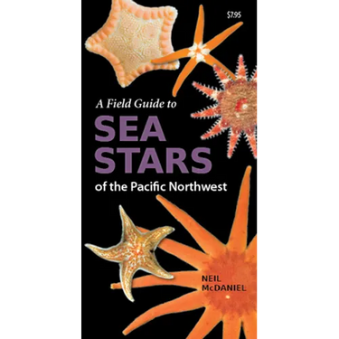 A Field Guide to Sea Stars of the Pacific Northwest