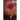 Love and Decay, Volume One: Season One, Episodes 1-6