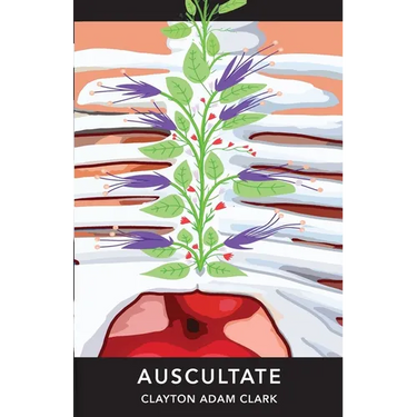 Auscultate