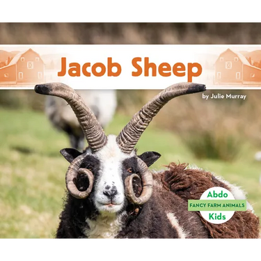 Jacob Sheep
