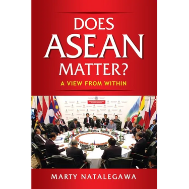 Does ASEAN Matter?: A View from Within