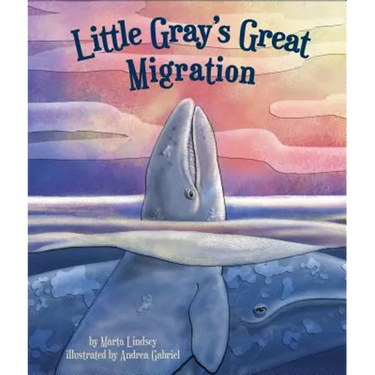 Little Gray's Great Migration