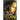 Tainted Identity