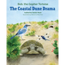 The Coastal Dune Drama: Bob, the Gopher Tortoise