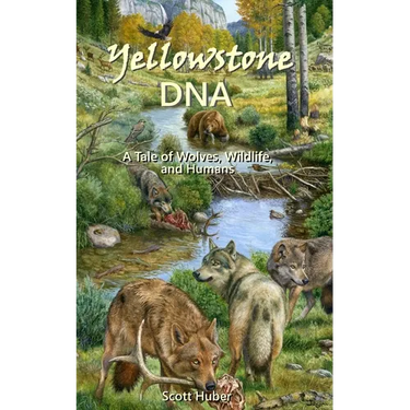 Yellowstone DNA: A Tale of Wolves, Wildlife and Humans