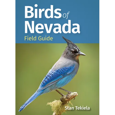 Birds of Nevada Field Guide