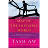 Map of the Invisible World
