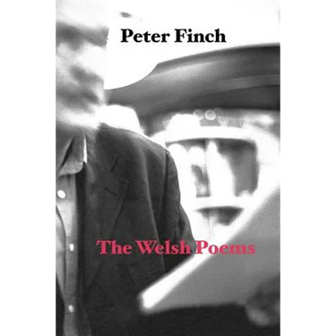 The Welsh Poems