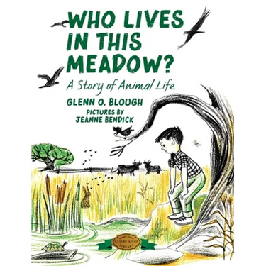 Who Lives in this Meadow?: A Story of Animal Life
